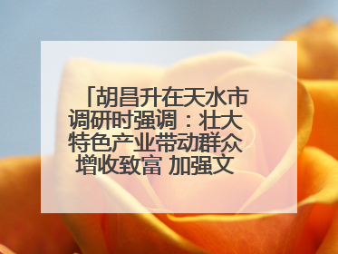胡昌升在天水市调研时强调：壮大特色产业带动群众增收致富 加强文物保护推动文化创新发展